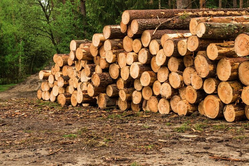 Affordable African Timber Suppliers UAE for Quality Hardwood and Construction Needs.jpg