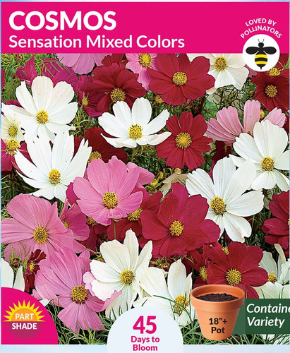 Cosmos Sensation Mixed Colors.jpg