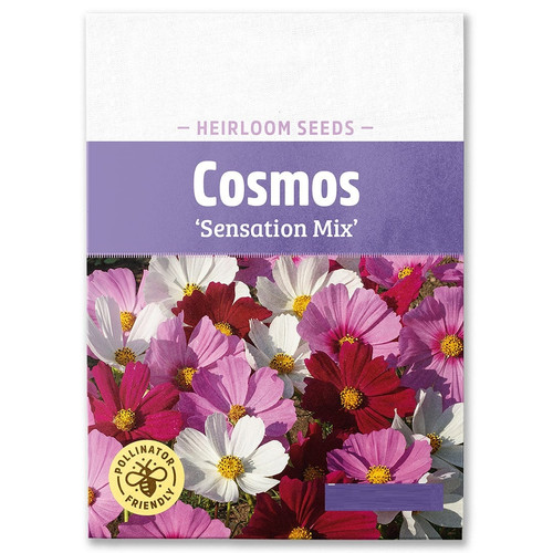 Cosmos Sensation Mix.jpg