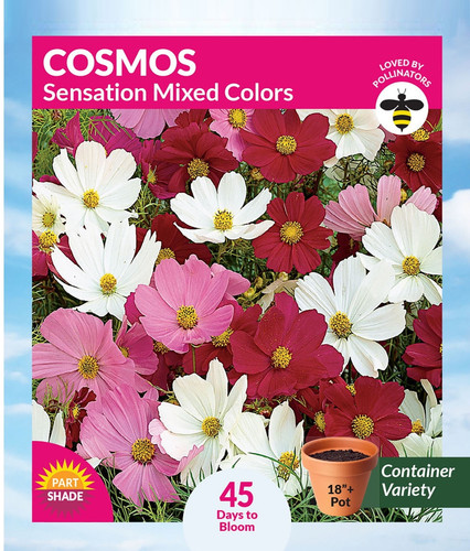 Cosmos Sensation Mixed Colors Annual Flower Seeds.jpg