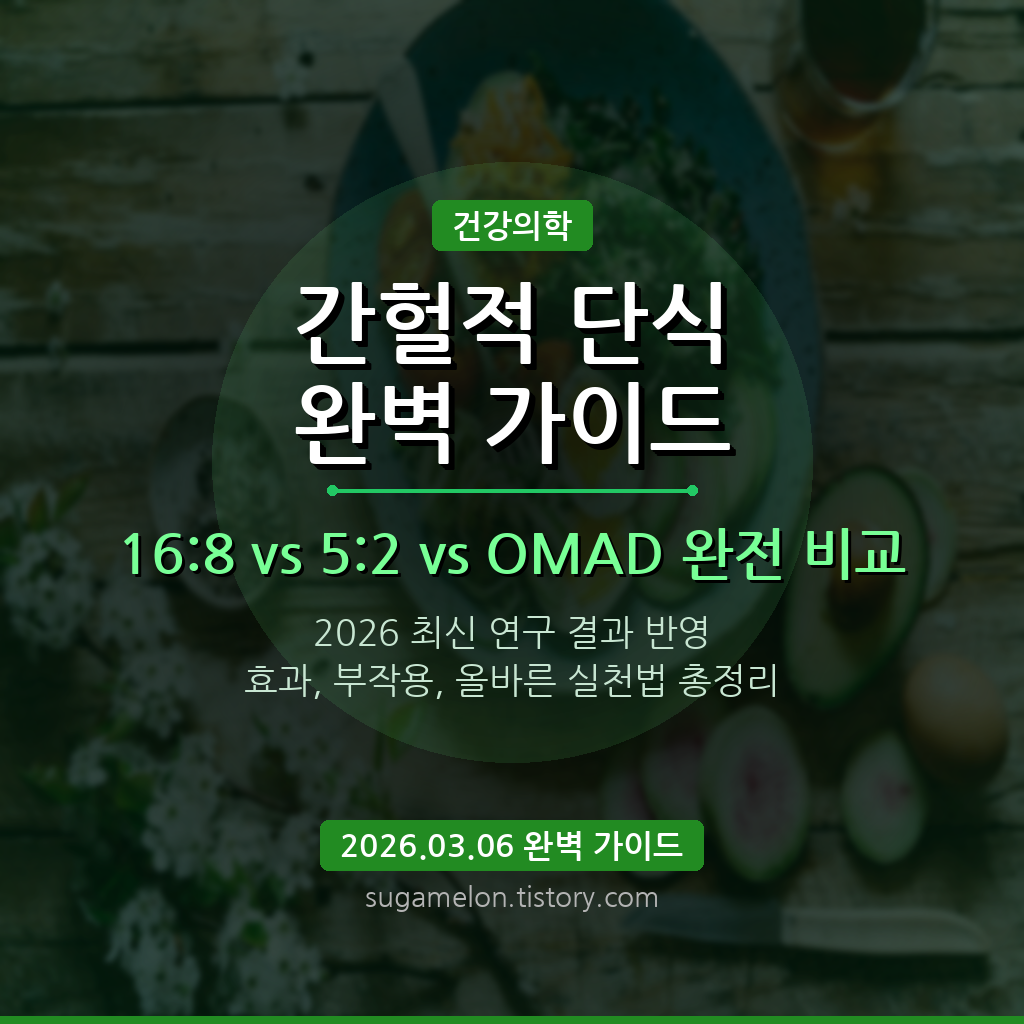 간헐적 단식 완벽 가이드 썸네일