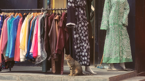 IMG 20260227 WA0031 01.jpg