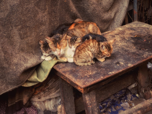 IMG 20241101 WA0005 01.jpg