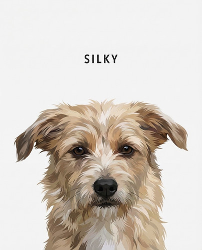 hf 20260306 093344 a33c3905 f772 4ef8 83a5 1afd042f0c8c.jpg