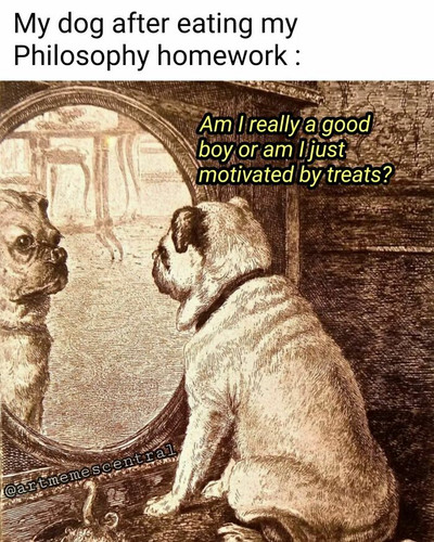 6655c136217be 326961256 745764480477216 7837791808357801109 n 700.jpg