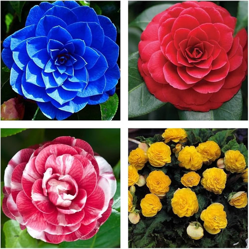 71ZKdW9StyL. AC UF1000,1000 QL80.jpg