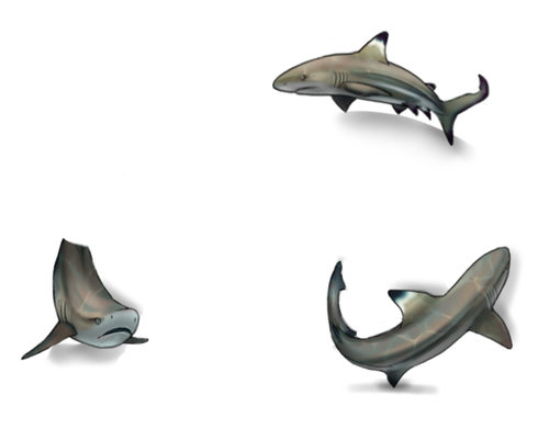 mngwa experiments sharks male.png