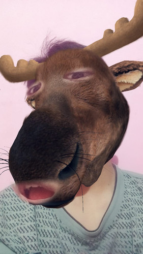 74c97493bdf7.jpg