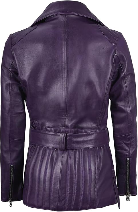 71zMlSN6PBL. AC SY741 .jpg