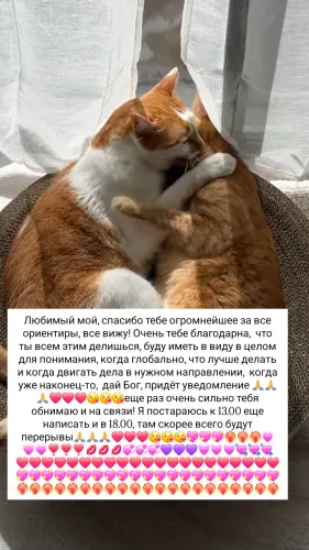 IMG 20260306 100907 829.webp