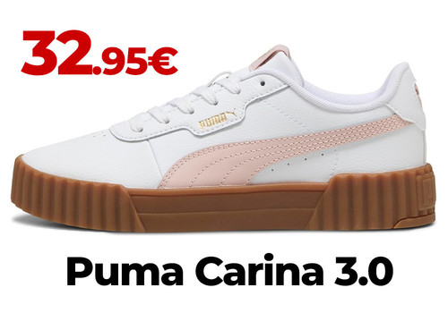 puma carina 3c.jpg