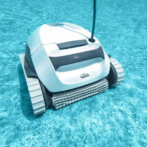 Dolphin E10 (1).webp