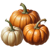 kits tammys welt autumn vibes (80)