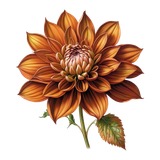 kits tammys welt autumn vibes (79)