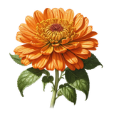 kits tammys welt hippie world (82)