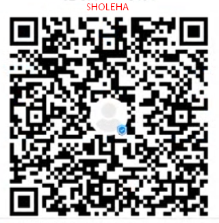 SHOLEHA.png