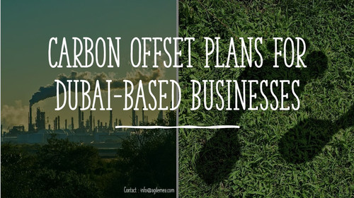 Carbon footprint.jpg