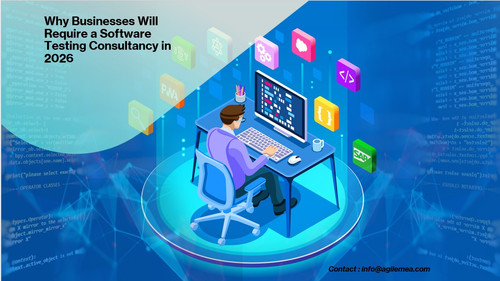 Software testing.jpg