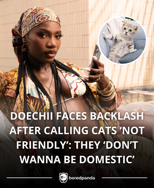 DOECHII faces backlash.png