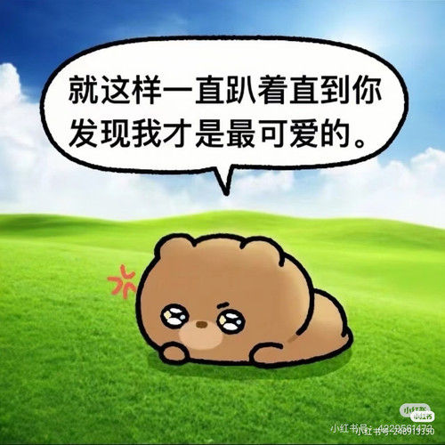 Camera XHS 1772631025997.jpg