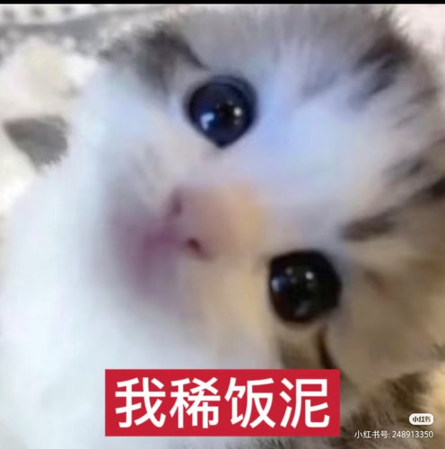 Camera XHS 1772630937575.jpg