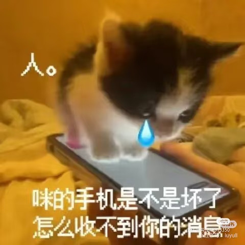 Camera XHS 1772631124783.jpg