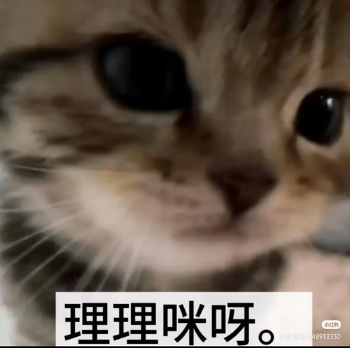 Camera XHS 1772630941668.jpg