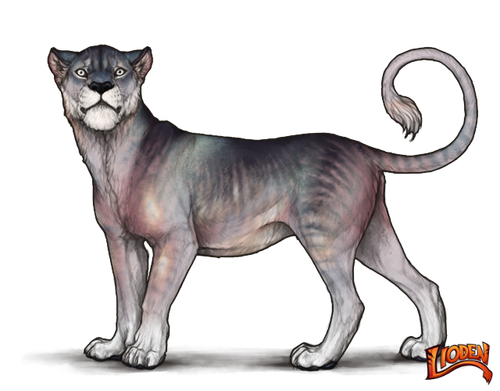 lioden wardrobe 3.png