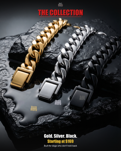 collection final v2.png