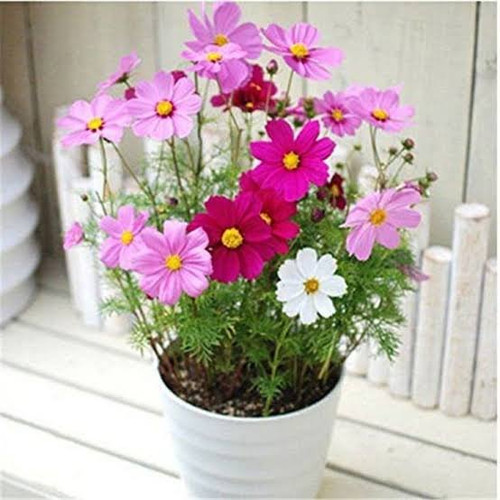 images 2022 06 27T092107.662.jpg