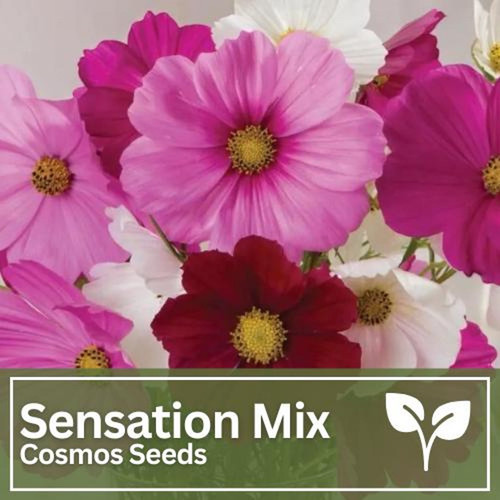 il 1588xN.6783030329 qsuq.jpg