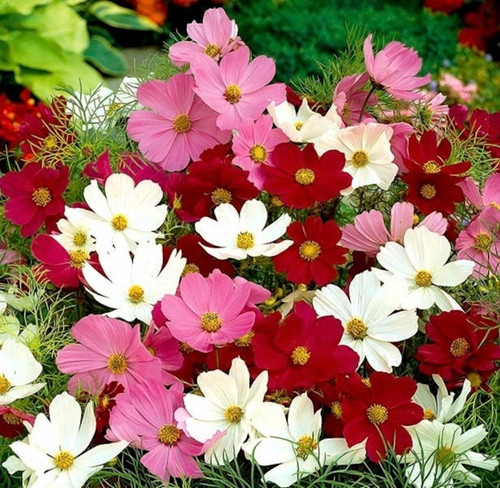 il 1588xN.3878489540 akjw.jpg