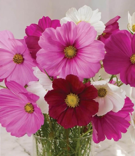 il 1588xN.6701525858 1qkg.jpg