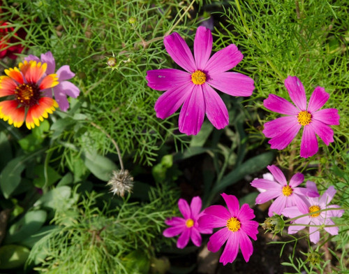 il 1588xN.892009607 3dvr.jpg