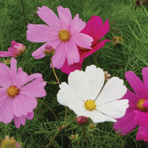 il 1588xN.7606564061 7m3x.jpg