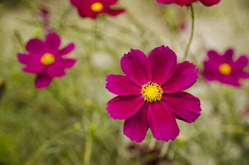 il 1588xN.892250232 9hab.jpg