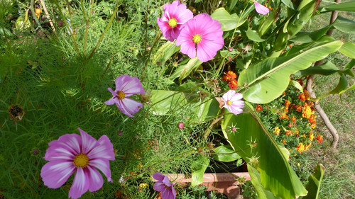 il 1588xN.6575943962 f41o.jpg