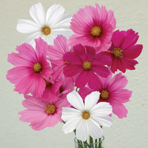 il 1588xN.7606564055 tqju.jpg