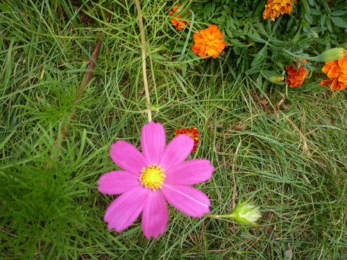 il 1588xN.6575943202 6ao5.jpg