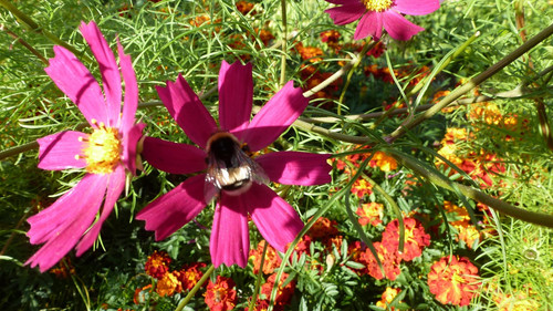 il 1588xN.6624055661 ed82.jpg