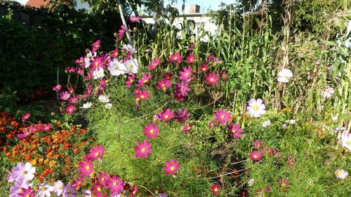 il 1588xN.6624057739 ghi9.jpg