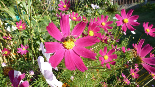 il 1588xN.6624056967 itd5.jpg