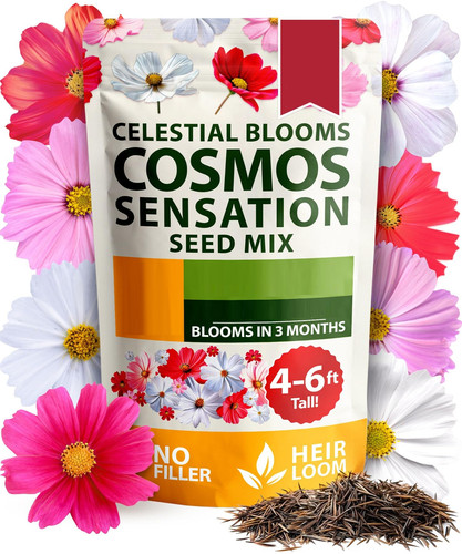 20 81 AEx NUq W3 L jpg.jpg