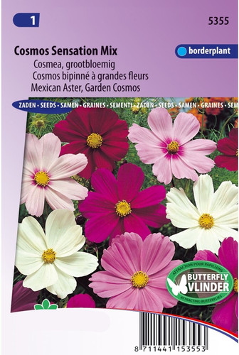 05 cosmos sensation mixed aster jpg.jpg