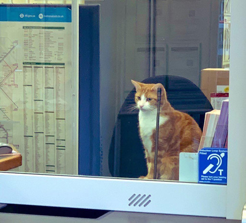 648630701 1372184941614584 1305791757371724393 n.jpg