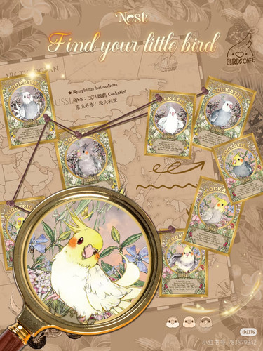 Camera XHS 1772805940060.jpg