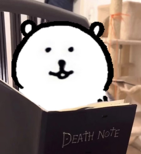 Camera XHS 17728059414801040g2sg30vbeu7n6le0g4a4a1fi1ulqb7nfndno edit 1628056256827097.jpg