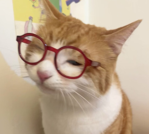 Camera XHS 17728059893921040g00831bvve1mdgk005pa0kkh0rqkkc2e5img edit 1628111137427609.jpg