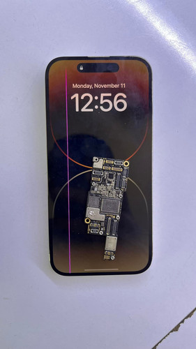 3 485993150 1823913708447511 6988795329779316599 n 1731046891067527.jpg