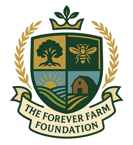 Screenshot 2026 03 05 210542.png